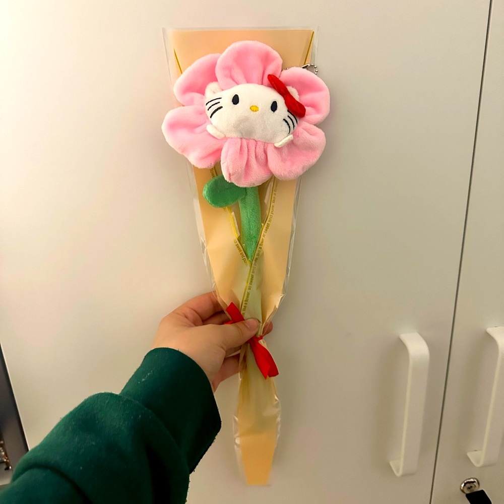 Hello Kitty and Friends
